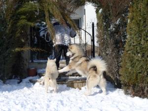 Прикачена снимка