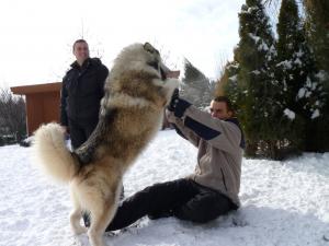 Прикачена снимка