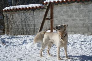 Прикачена снимка