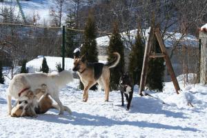 Прикачена снимка