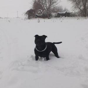 Прикачена снимка