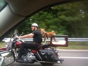 Прикачена снимка