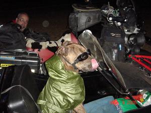 Прикачена снимка