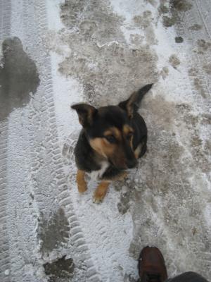Прикачена снимка