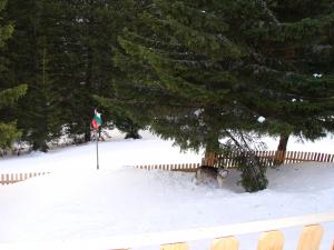 Прикачена снимка