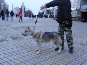 Прикачена снимка
