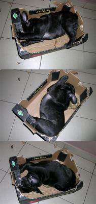 Прикачена снимка