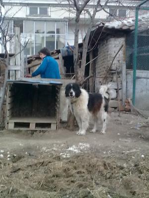 Прикачена снимка