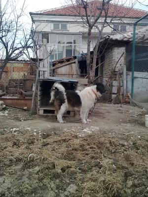 Прикачена снимка
