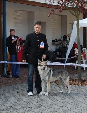 Прикачена снимка