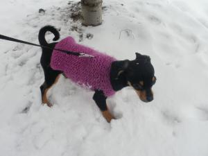 Прикачена снимка