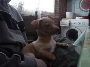 Прикачена снимка