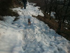 Прикачена снимка