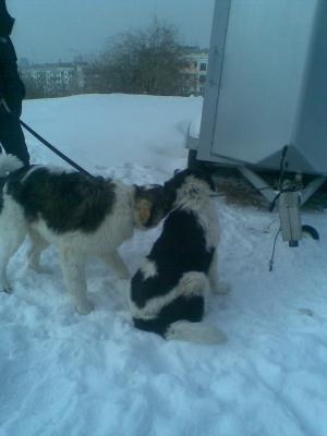 Прикачена снимка