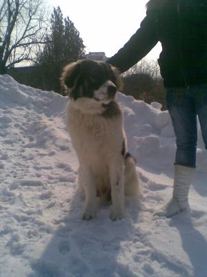 Прикачена снимка