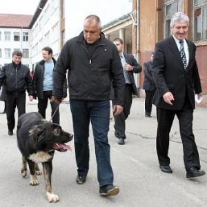 Прикачена снимка