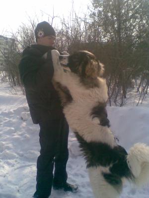 Прикачена снимка