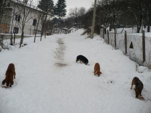 Прикачена снимка