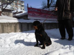 Прикачена снимка