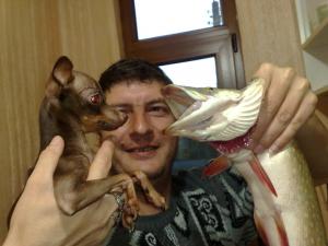 Прикачена снимка