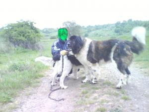 Прикачена снимка