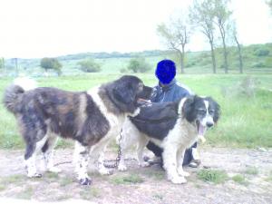 Прикачена снимка