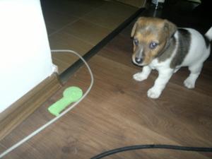 Прикачена снимка