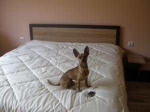 Прикачена снимка