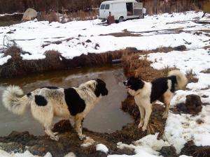 Прикачена снимка
