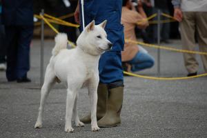 Прикачена снимка