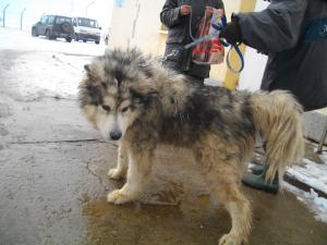 Прикачена снимка