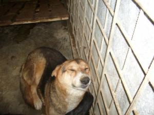 Прикачена снимка