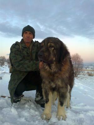 Прикачена снимка