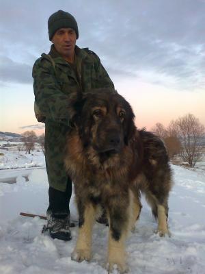 Прикачена снимка