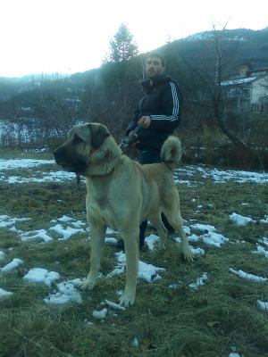 Прикачена снимка