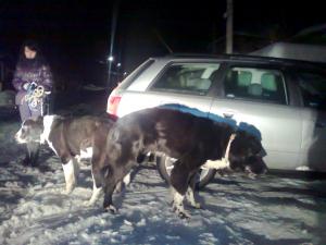 Прикачена снимка