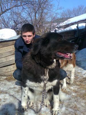 Прикачена снимка