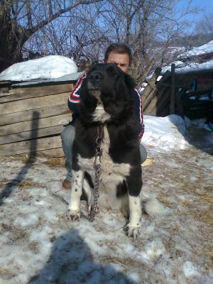 Прикачена снимка