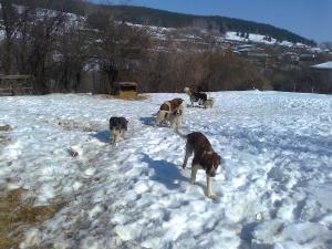 Прикачена снимка