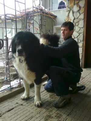 Прикачена снимка