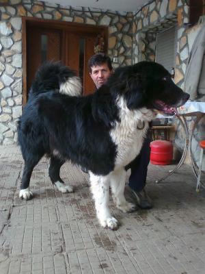 Прикачена снимка
