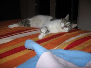 Прикачена снимка