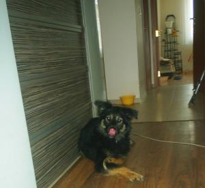 Прикачена снимка