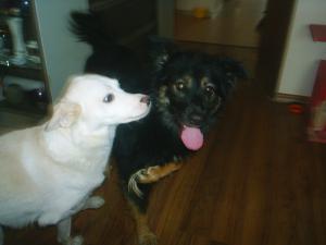 Прикачена снимка