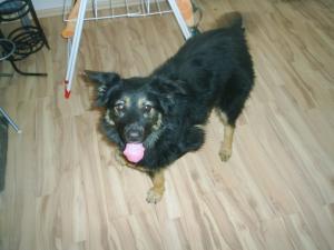 Прикачена снимка