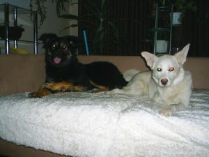 Прикачена снимка