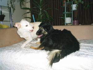 Прикачена снимка