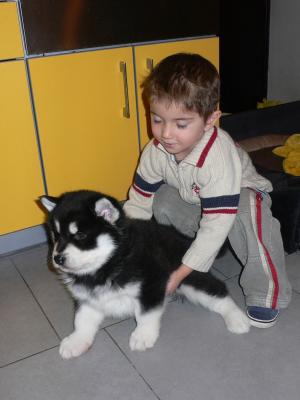 Прикачена снимка