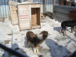 Прикачена снимка