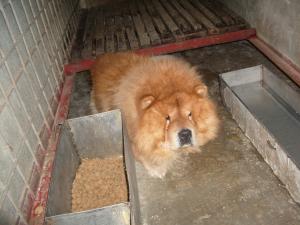Прикачена снимка